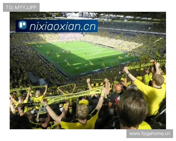 开云体育平台赛事直播服务详解，提供高清流畅的赛事观看体验