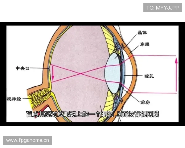 开云体育盲点的常见表现：识别开云运动中盲区的具体表现形式