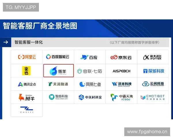 冠盈体育客户服务与支持体系：全天候专业客服助您无忧投注